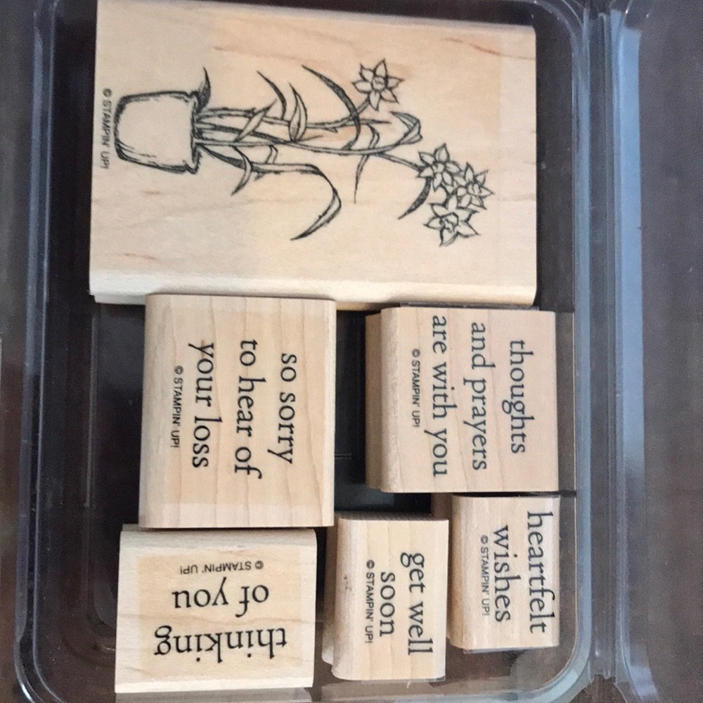 Stampin’ Up! always in my thoughts set of 6 stamps